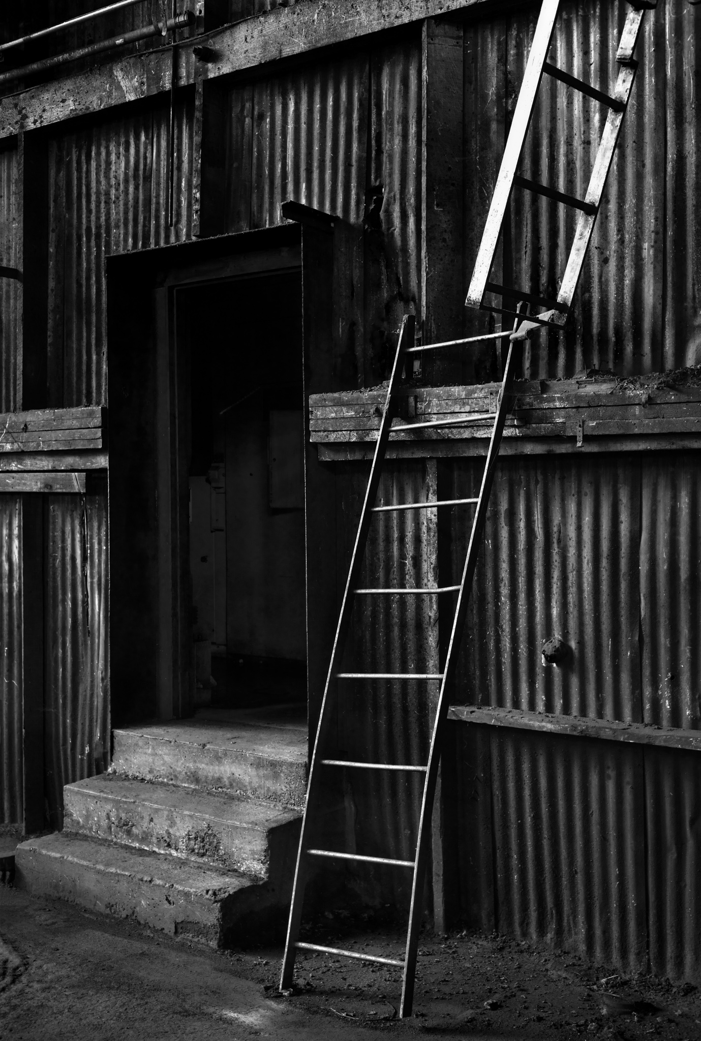 Dark Ladders